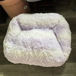Pet Couch 