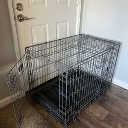 Modern Puppy Apartment Crate + Bed