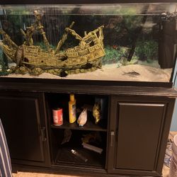 Fish tank With Cabinet And 3 Fish 