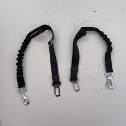 Dog Seatbelts