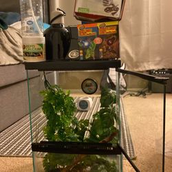 Reptile Tank Kit All In One