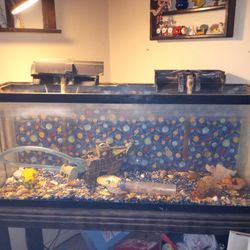 55 Gallon Fish Tank HAS NO LEAKS