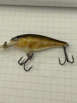 Crankbait Fishing Lure with Treble Hooks