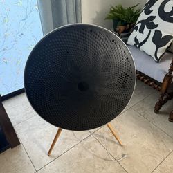 B&O (bang & Olufsen) Speaker 