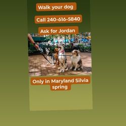 We Walk Your Dog For $20 An Hour 