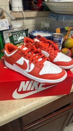 Nike dunk low  retro