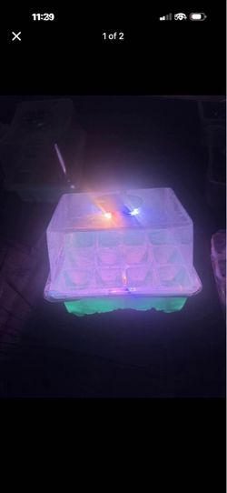 4 Clone Trays with Light