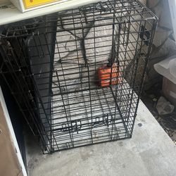Dog Kennel
