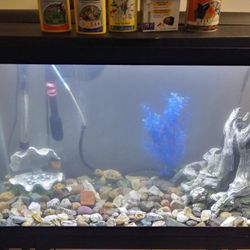 Fish tank/ Stand / Accessories 
