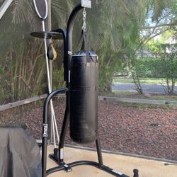 Punching Bag Everlast