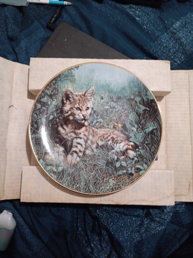 Bobcat Natures Dawn 1991 Charles Frace 8.5" W.P George Plate #1225B 110321DMTFR2