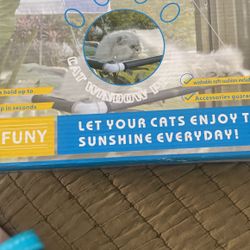 Cat Window