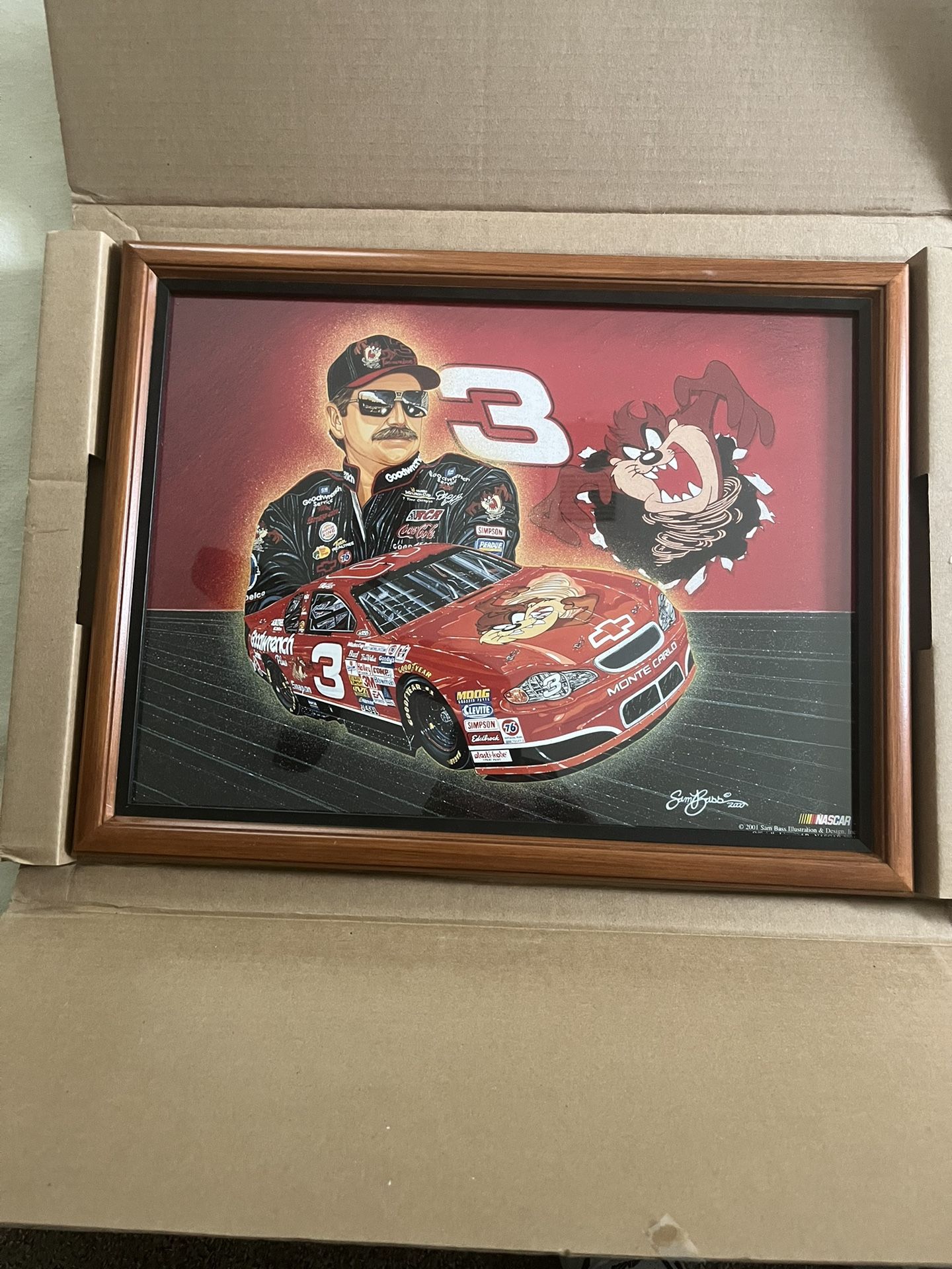 Dale Earnhardt TAZ