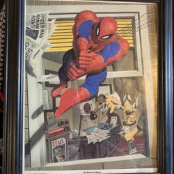1981 Spider-Man Poster “ An Editorial Reply “ 