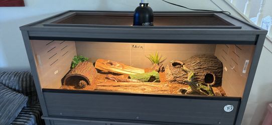Reptile enclosure
