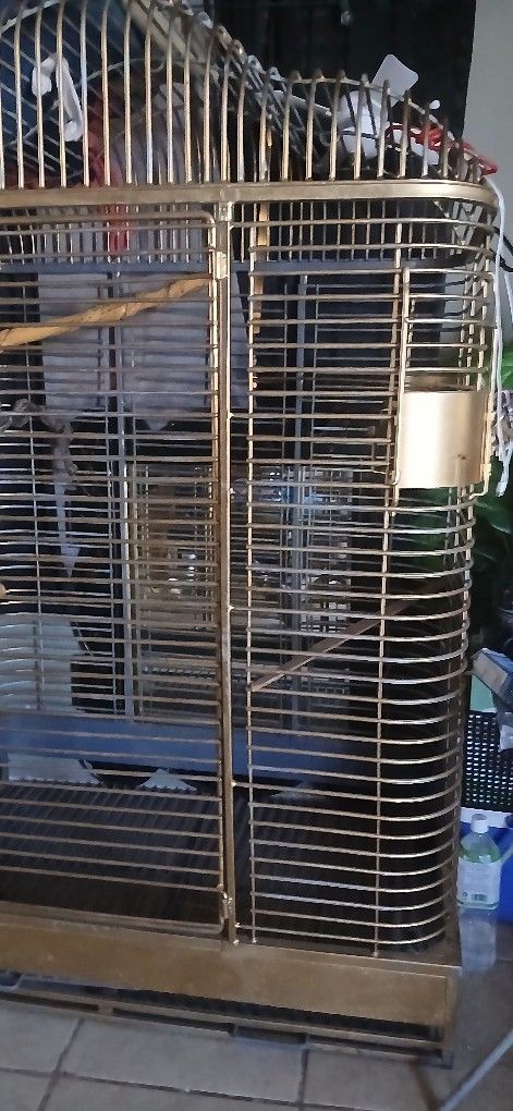 Gold Bird Cage