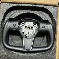 Oem Tesla Model Y/3 Yoke W/heating Hansshow