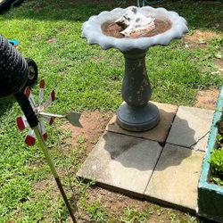 Bird Feeder