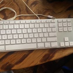 Apple (wired) Keyboard