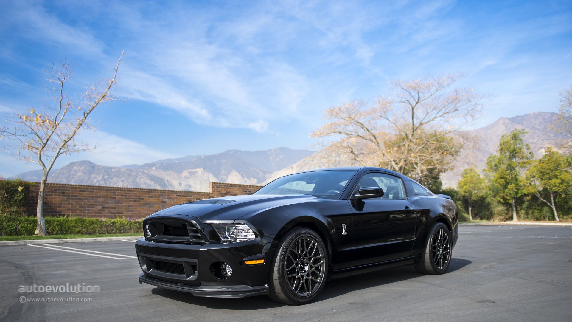 2014 Ford Shelby Gt500