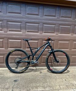 2020 Specialized Stumpjumper 29”