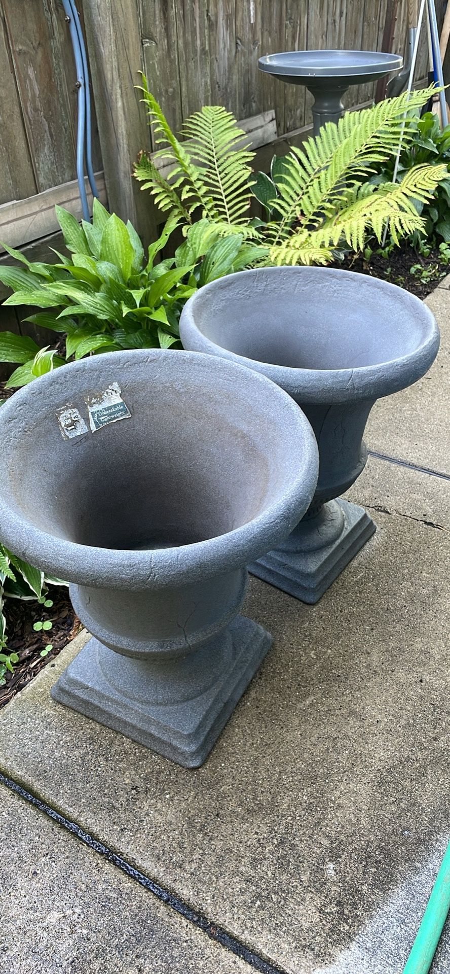 Plant Holder