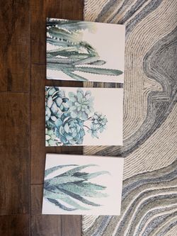 Cactus art wall art hanging pictures