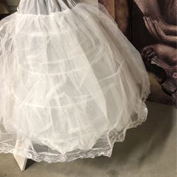 Petticoat  (crinolina )