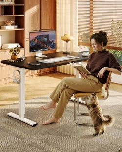 The Ultimate Workstation!!! Flexispot Standing Desk 55” + FREE Ergonomic Office Chair (Like New!)