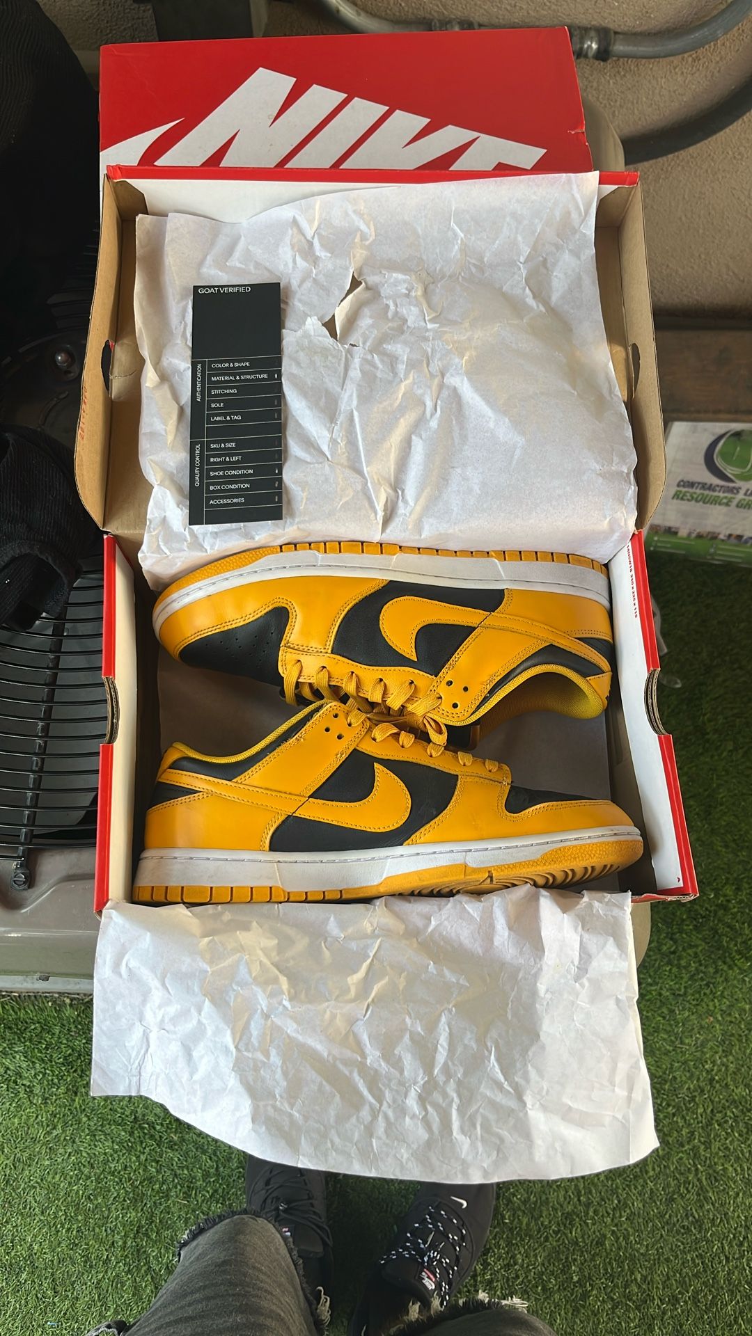 Nike Dunks