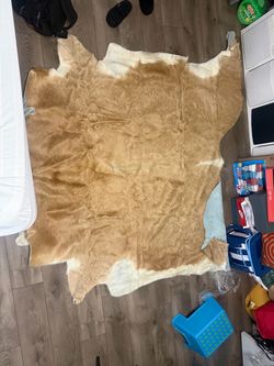 RUGS