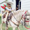 Jackelynes Pony Rides