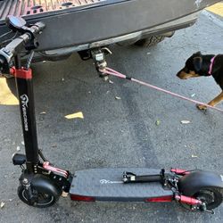 Electric Scooter 