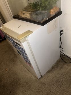 Mini Fridge 