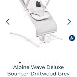 Baby Delight Bouncer