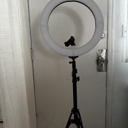 Lighting Tripod