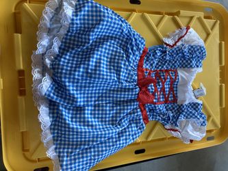 Toddler Dorothy Costume