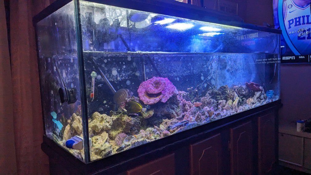 190 Gallon Aquarium 