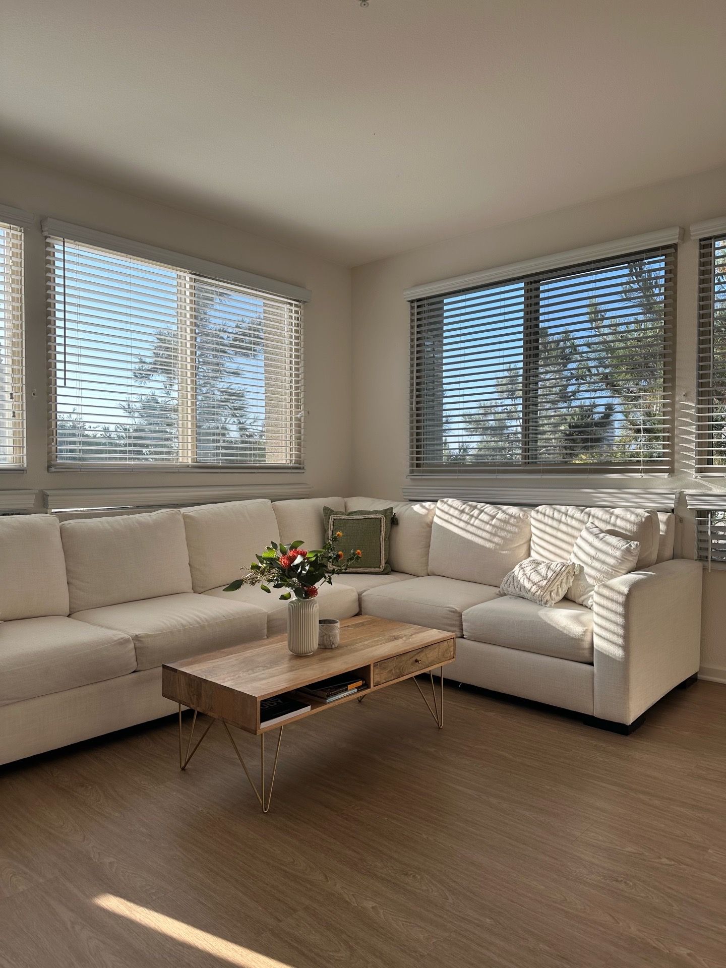 Sectional couch