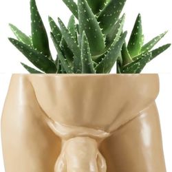 Funny Planter Pot Body Vases Penis Decor Penis Planter Pot Outdoor & Indoor Home Garden Office Decor )