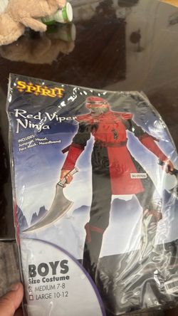 Halloween Costume
