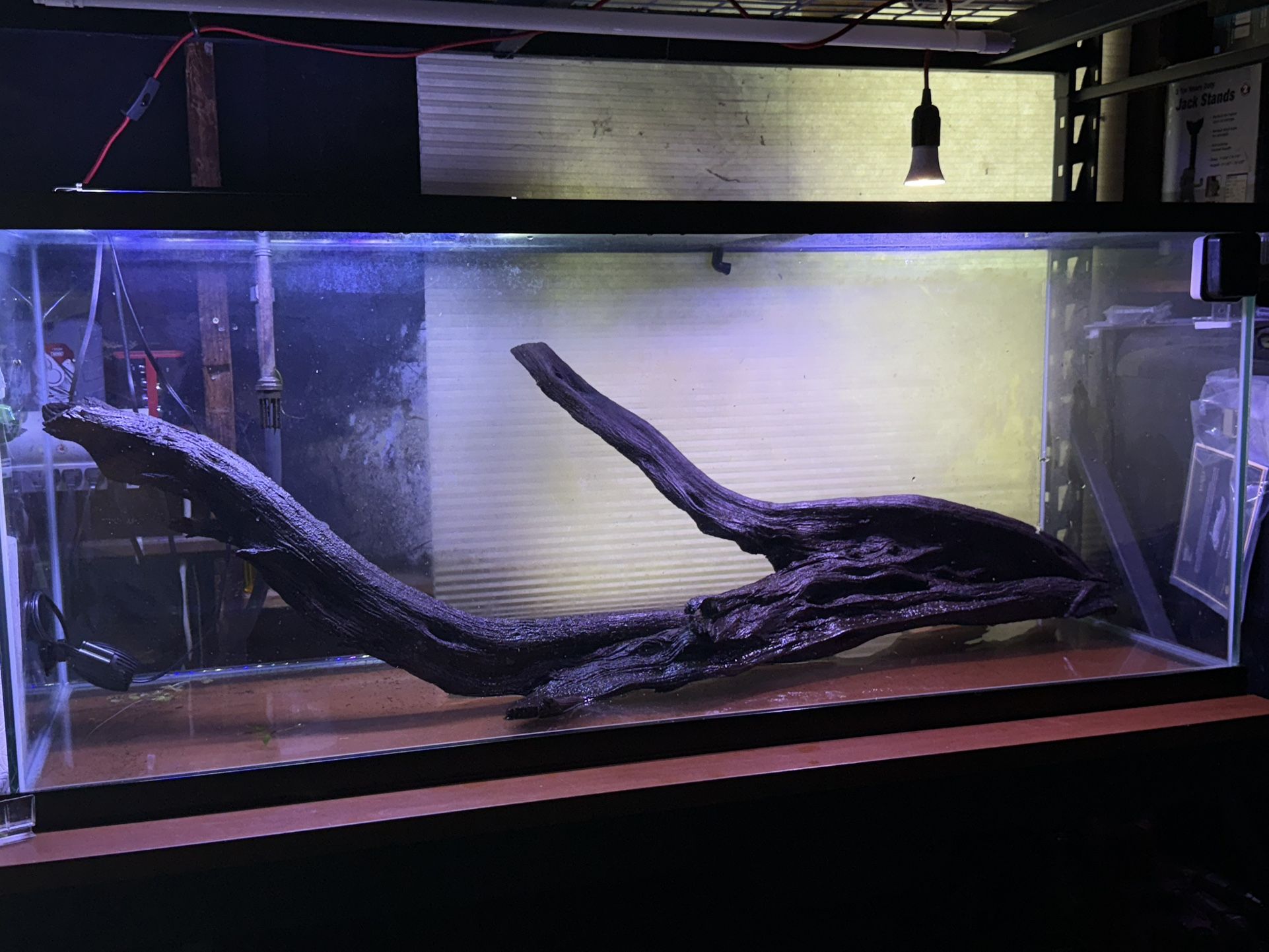Fish Tank