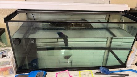 40 gal fish tank