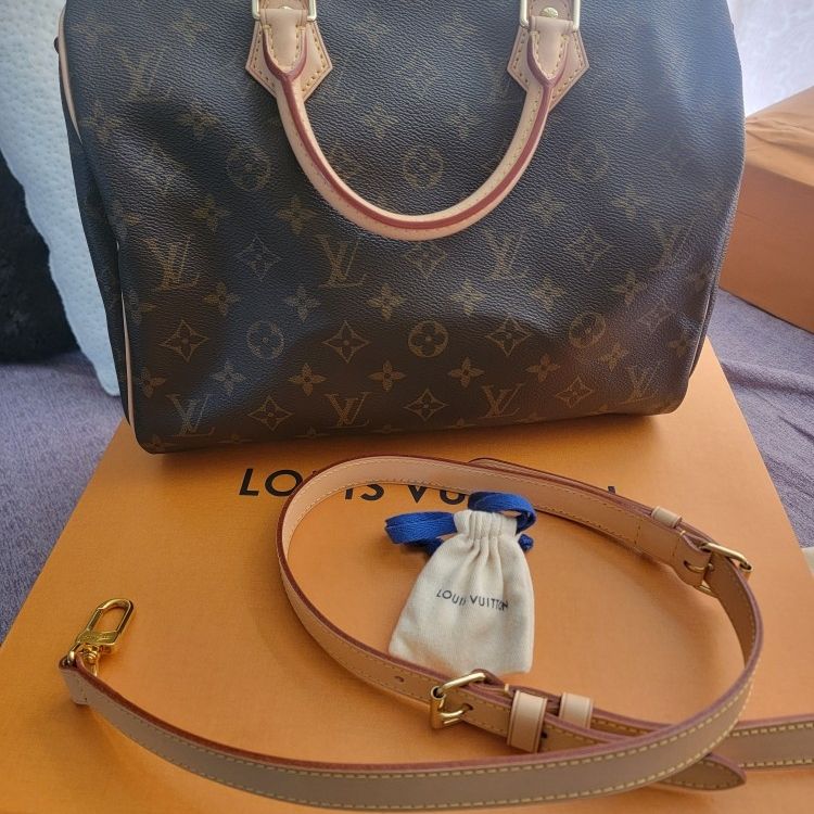 Louis Vuitton Purse