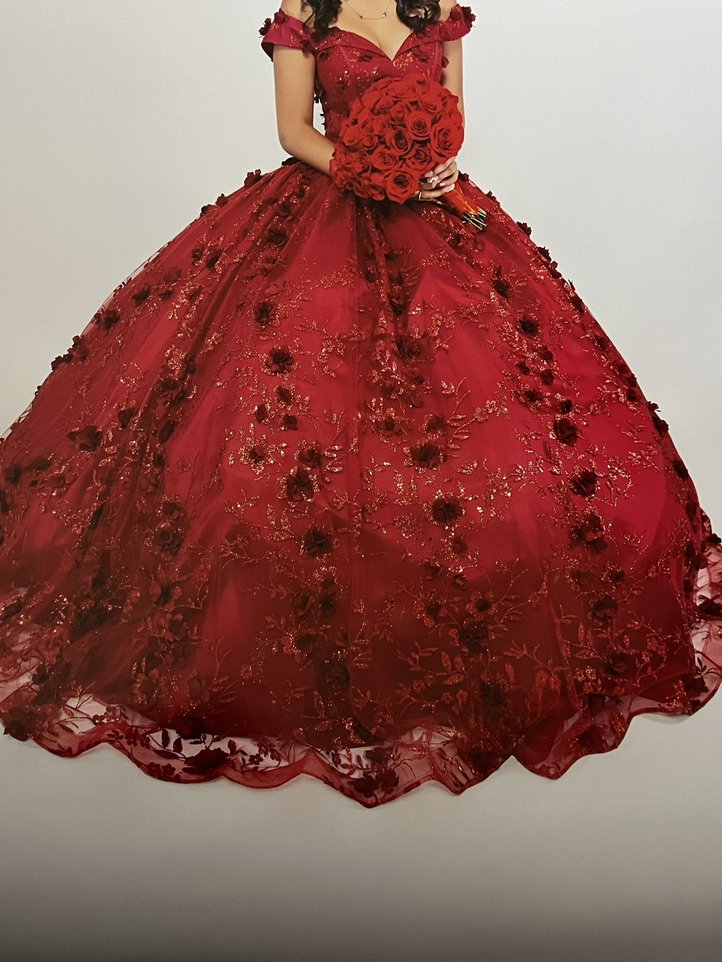 Quinceañera Dress