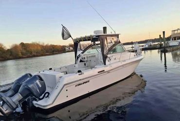 1998 Hydra-Sports 3100 25th Anniversary