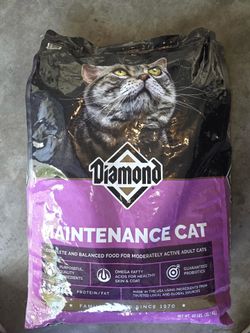 1 Large Bag Of Cat Food