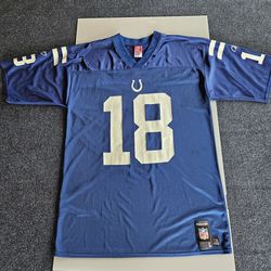 Official NFL Jersey