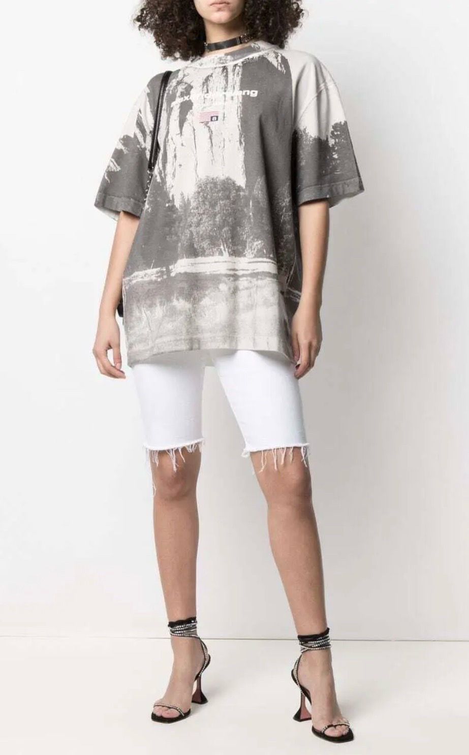 Alexander Wang SS21 Chapel Rock Graphic Tee Grey T-Shirt Unisex Size M