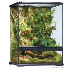 Exo Terra Glass Natural Terrarium Kit